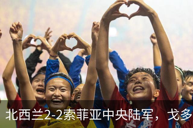 北西兰2-2索菲亚中央陆军，戈多伊先拔头筹，戈多伊救主