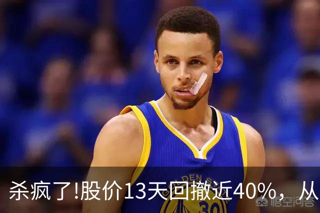杀疯了!股价13天回撤近40%，从高点248.3砸至153.01!出现12连阴!