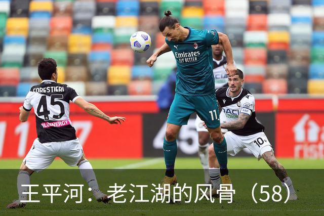 王平河：老江湖的风骨（5/8）