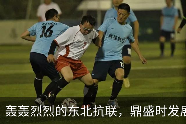 轰轰烈烈的东北抗联，鼎盛时发展到3万人，为什么到1940年就失败了？