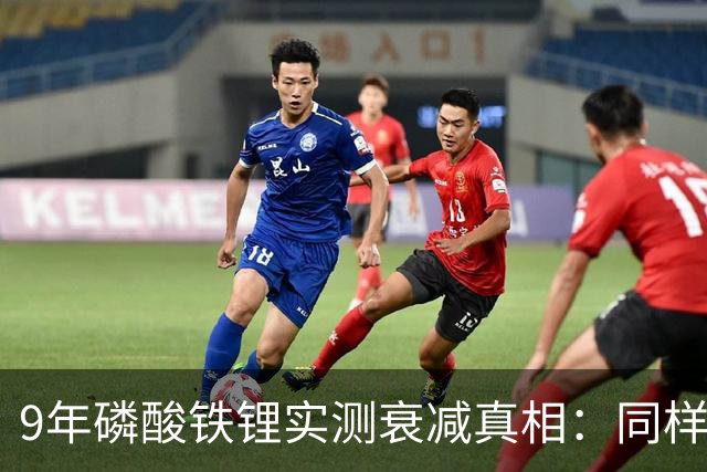 9年磷酸铁锂实测衰减真相：同样开9年，健康度差14%！车主必看